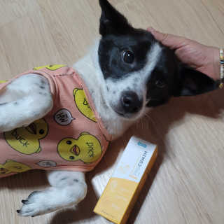 노이님이 올린 리뷰 사진 3