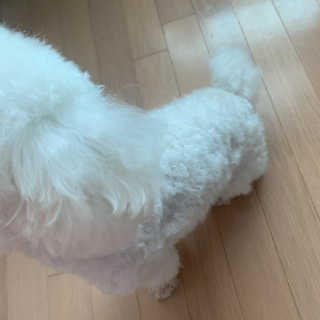 설량님이 올린 리뷰 사진 4