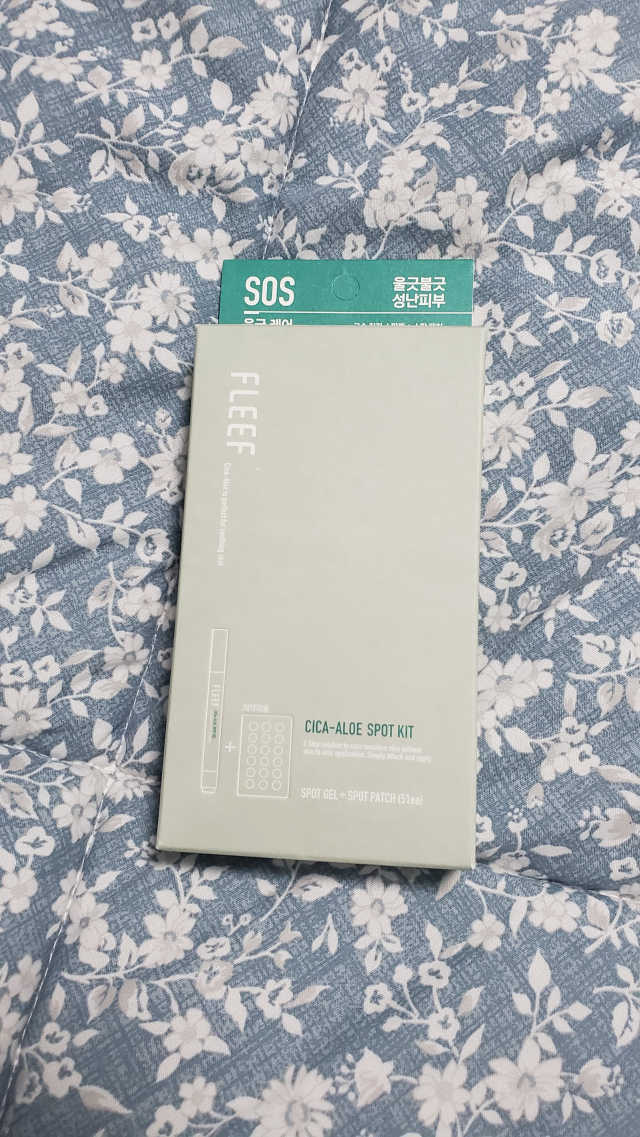 플리프 시카 알로에 스팟키트 리뷰 사진