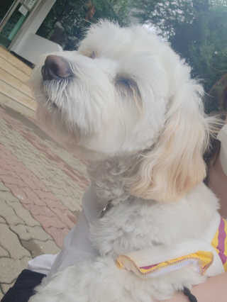 ppuni님이 올린 리뷰 사진 4