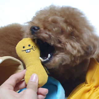 최정임님이 올린 리뷰 사진 3