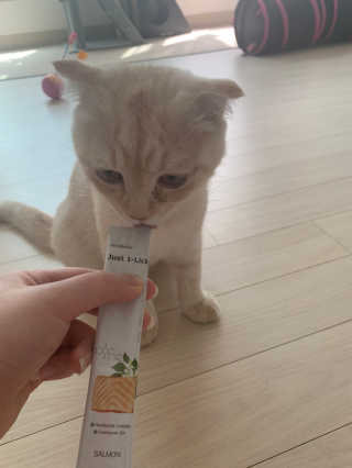 리쩡님이 올린 리뷰 사진 3