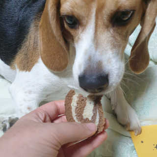 beaglelove님이 올린 리뷰 사진 3