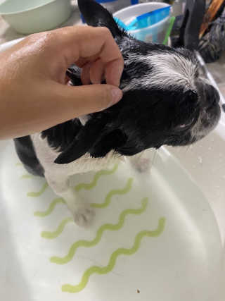 JisooOH님이 올린 리뷰 사진 2