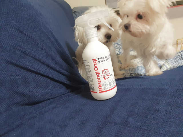 [멍이옹이스토리] 멍이옹이 뿌리는 소독제 500ml 리뷰 사진