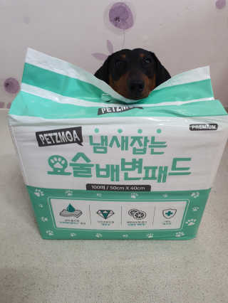 히이잇님이 올린 리뷰 사진 2