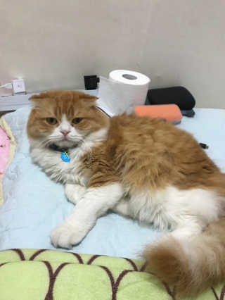 통통이네님이 올린 리뷰 사진 4