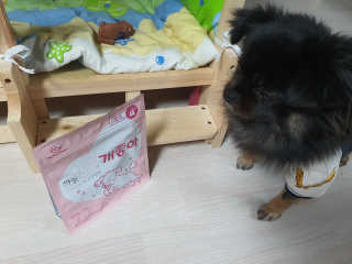 My Pet Care 천연단백질 관절건강에 개좋아 — 5점을 준 리뷰어가 2020년 11월 올린 사용 사진