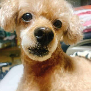 lumiere님이 올린 리뷰 사진 4