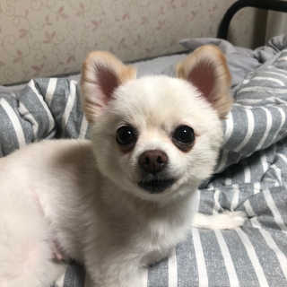 돈도니님이 올린 리뷰 사진 4
