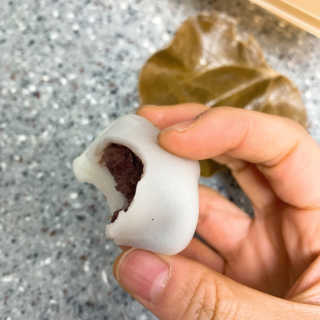 영지버섯님이 올린 리뷰 사진 1