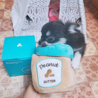 장성희님이 올린 리뷰 사진 2