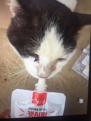 까꿍님이 올린 리뷰 사진 3