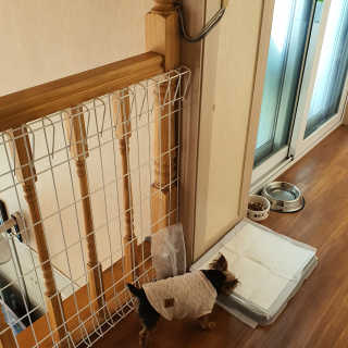 itsmeinyeong님이 올린 리뷰 사진 2