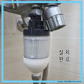 효티님이 올린 리뷰 사진 4