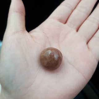 영지버섯님이 올린 리뷰 사진 4