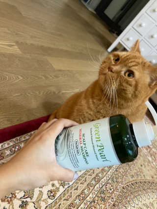 syjuknow님이 올린 리뷰 사진 2