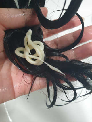 Bow님이 올린 리뷰 사진 3