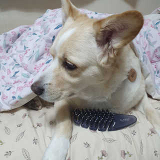 엘리님이 올린 리뷰 사진 1