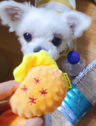 narihalmany님이 올린 리뷰 사진 3