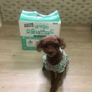 해니님이 올린 리뷰 사진 2