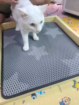 요니잉님이 올린 리뷰 사진 3