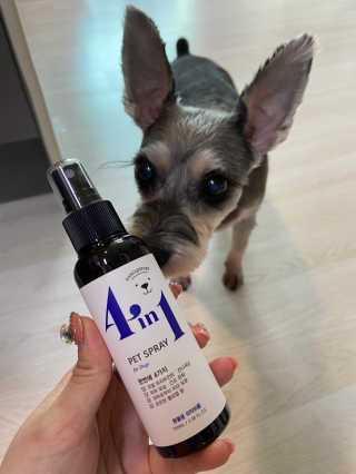 강아지스토리 포인원 모이스처 미스트 100ml — 4점을 준 리뷰어가 2020년 6월 올린 사용 사진