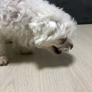 minjiriri님이 올린 리뷰 사진 3