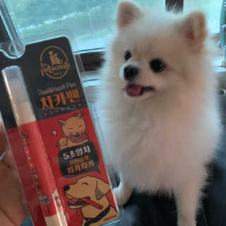 더펫원츠 [5초양치] 멍.치카펜 or 냥.치카펜 or 치카오일펜 — 5점을 준 리뷰어가 2020년 5월 올린 사용 사진