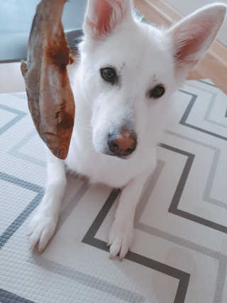 딸랑구둘🥰님이 올린 리뷰 사진 1