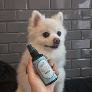 코지독 카밍스프레이 100ml — 3점을 준 리뷰어가 2020년 5월 올린 사용 사진