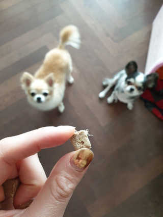 항이님이 올린 리뷰 사진 2