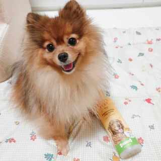 은선이짱님이 올린 리뷰 사진 2