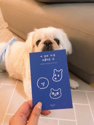 [어글어글] 반려견 친환경 간식 9종 세트 — 4.5점을 준 리뷰어가 2020년 4월 올린 사용 사진