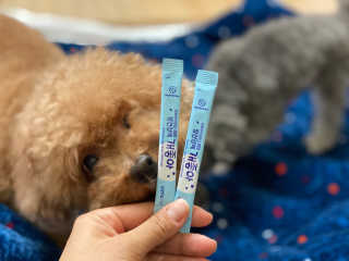 멜쏘님이 올린 리뷰 사진 1
