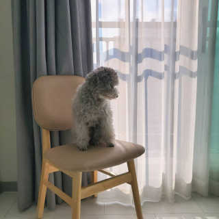순삼님이 올린 리뷰 사진 1