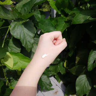 [트리티스] UV 디펜스 선크림 PA+++ / SPF50+  60ml — 4점을 준 리뷰어가 2020년 9월 올린 사용 사진