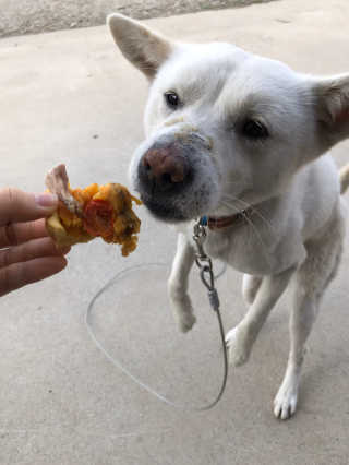 Jenny님이 올린 리뷰 사진 3