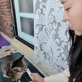 제니블링님이 올린 리뷰 사진 4