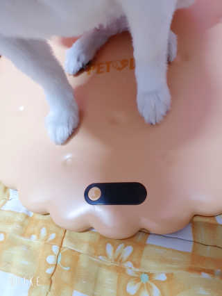 블리블리♡은블리♡님이 올린 리뷰 사진 3
