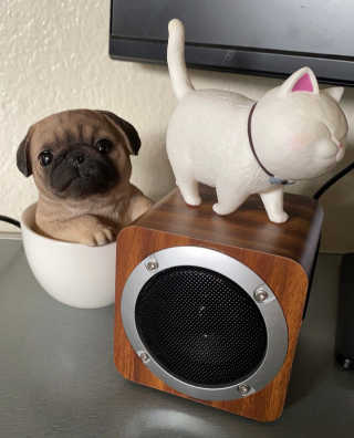 SEVIZ MINI10W 레트로 블루투스 스피커 — 4점을 준 리뷰어가 2020년 10월 올린 사용 사진