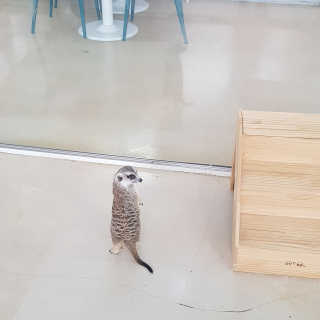 hyojin님이 올린 리뷰 사진 1