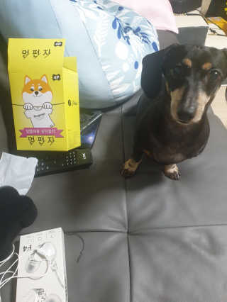 mgpc1004님이 올린 리뷰 사진 2