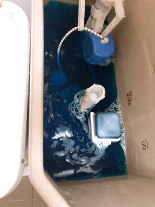 뚜덩맘님이 올린 리뷰 사진 3