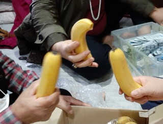 [스미후루] 감숙왕 바나나 2팩 2.6kg 이벤트 — 5점을 준 리뷰어가 2020년 11월 올린 사용 사진