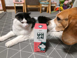 cobemom님이 올린 리뷰 사진 1