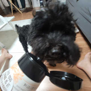 ❤꼬네우니🧡님이 올린 리뷰 사진 1