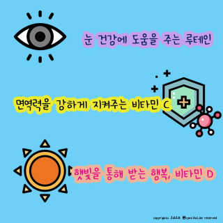 효티님이 올린 리뷰 사진 3