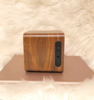 SEVIZ MINI10W 레트로 블루투스 스피커 — 5점을 준 리뷰어가 2020년 9월 올린 사용 사진