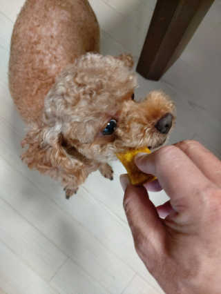 몽이님이 올린 리뷰 사진 3